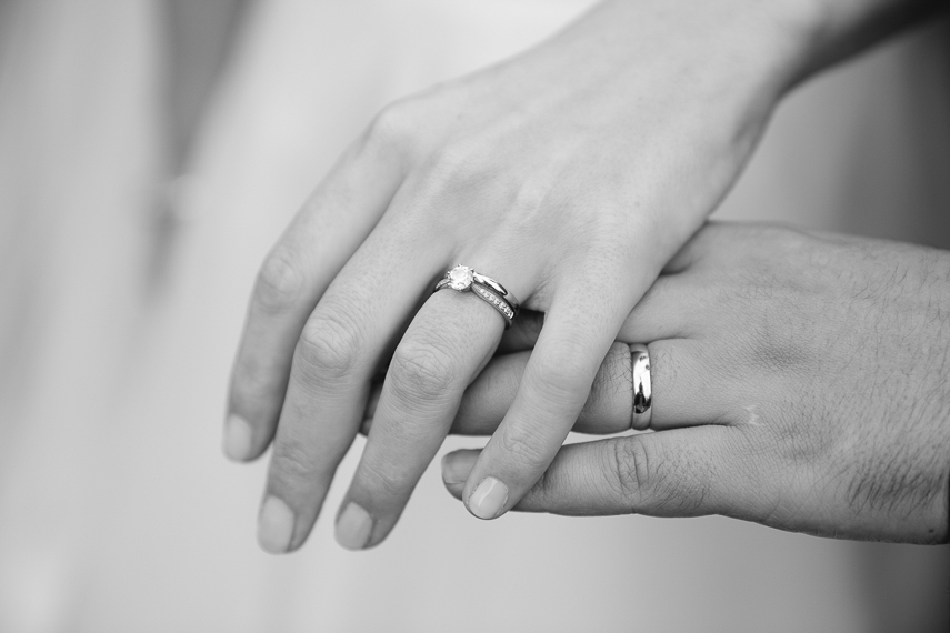 Horniman Museum Wedding Photographer